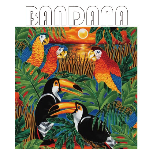 Bandana com 4