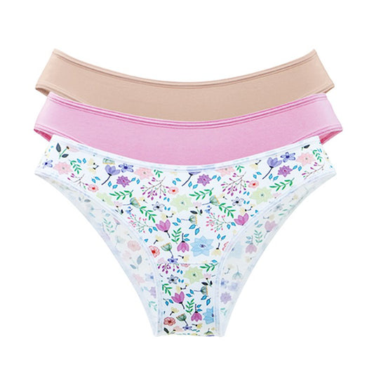 DeMillus-53300 Kit 3 Calcinhas